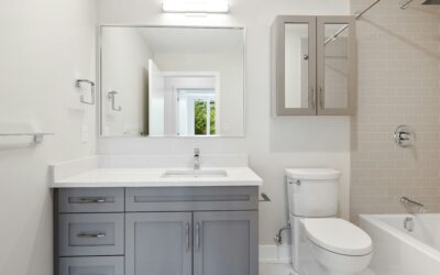 Toilet Installation, Maintenance, and Replacement